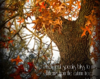 autumn leaves photography, digital download, tree trunk, red leaves, digital paper, inspirational quote