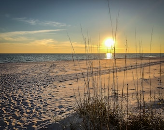 Coastal Photography, Sea oats at sunset, Seaside home decor, Florida Beach Sunset, Sunset with water