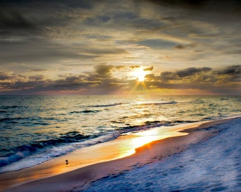 Fine Art Print - ocean, sea, seaside, sunset, florida, gulf of mexico, shells,  waves, saltwater, lone bird  - Solitude