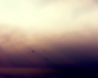 wall art, home decor, ocean, birds in flight, monotone, moody, mysterious, water, clouds, stormy  - Departure