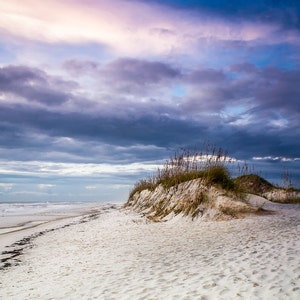 wall art, home decor, isolated beach, sea oats, footsteps in sand, blue sky, ocean, gulf, sunset, sand dunes, coastal - SEA OATS