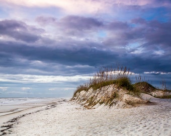 wall art, home decor, isolated beach, sea oats, footsteps in sand, blue sky, ocean, gulf, sunset, sand dunes, coastal - SEA OATS