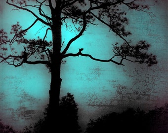 Fine Art Photography Print - blue, dark, mood, mysterious, tree, lonely, backlit, silhouette, landscape, nature - Moody Blue
