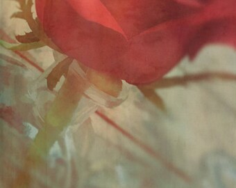 Flowers, Roses, Wall Art, Colorful, Painterly, Fine Art, Vintage, Valentines