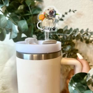 Customize Your Photo Dog Straw Topper Cat Picture Stanley Cup Accessory, Drink Cup Straw Cover, Stanley Topper Photo Dog Cat Pet Gift Lovers