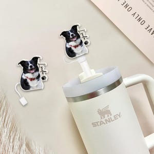 Personalized My Dogs Cats Photo Stanley Straw Topper, Stanley Cup Accessories, Drink Cup Straw Cover, Stanley Topper Pet Photo Gifts Lovers