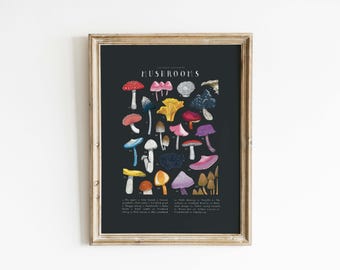 Mushroom Botanical Art Print | Vintage Fungi Illustration (Digital Download)