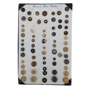 May include: A collection of bone and horn buttons of various sizes and designs arranged on a white display board. The buttons are in shades of brown, beige, and cream, with some featuring intricate patterns. The text "Bone & Horn Buttons" is at the top.
