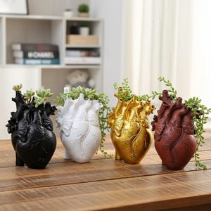 Könnte beinhalten: Vier herzförmige Pflanzgefäße in Schwarz, Weiß, Gold und Rotbraun, jeweils mit Grünpflanzen. Die Pflanzgefäße sind anatomisch detailliert und stehen auf einer Holzoberfläche. Im Hintergrund ein weißes Regal mit Dekorationen.