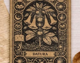 Datura Botanical Wood Plaque – Poisonous Plant Illustration – Apothecary Decor  Witchy Wall Art  Dark Academia Decor  Cabinet of Curiosities