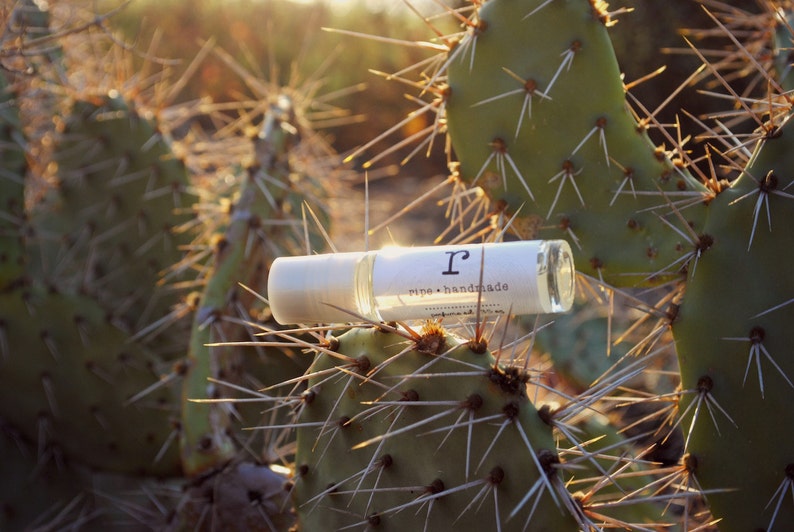 Desert Cactus Flower Perfume Oil, Roll On Perfume Sweet Fragrance image 1