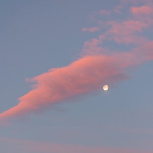 Cloudscape Perfume Oil: Whipped Coconut, Vanilla Orchid Roll On