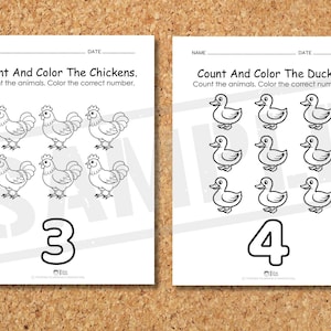 May include: Two white worksheets on a corkboard. The left worksheet says "Count And Color The Chickens" with six chicken illustrations and the number 3. The right worksheet says "Count And Color The Ducks" with nine duck illustrations and the number 4.