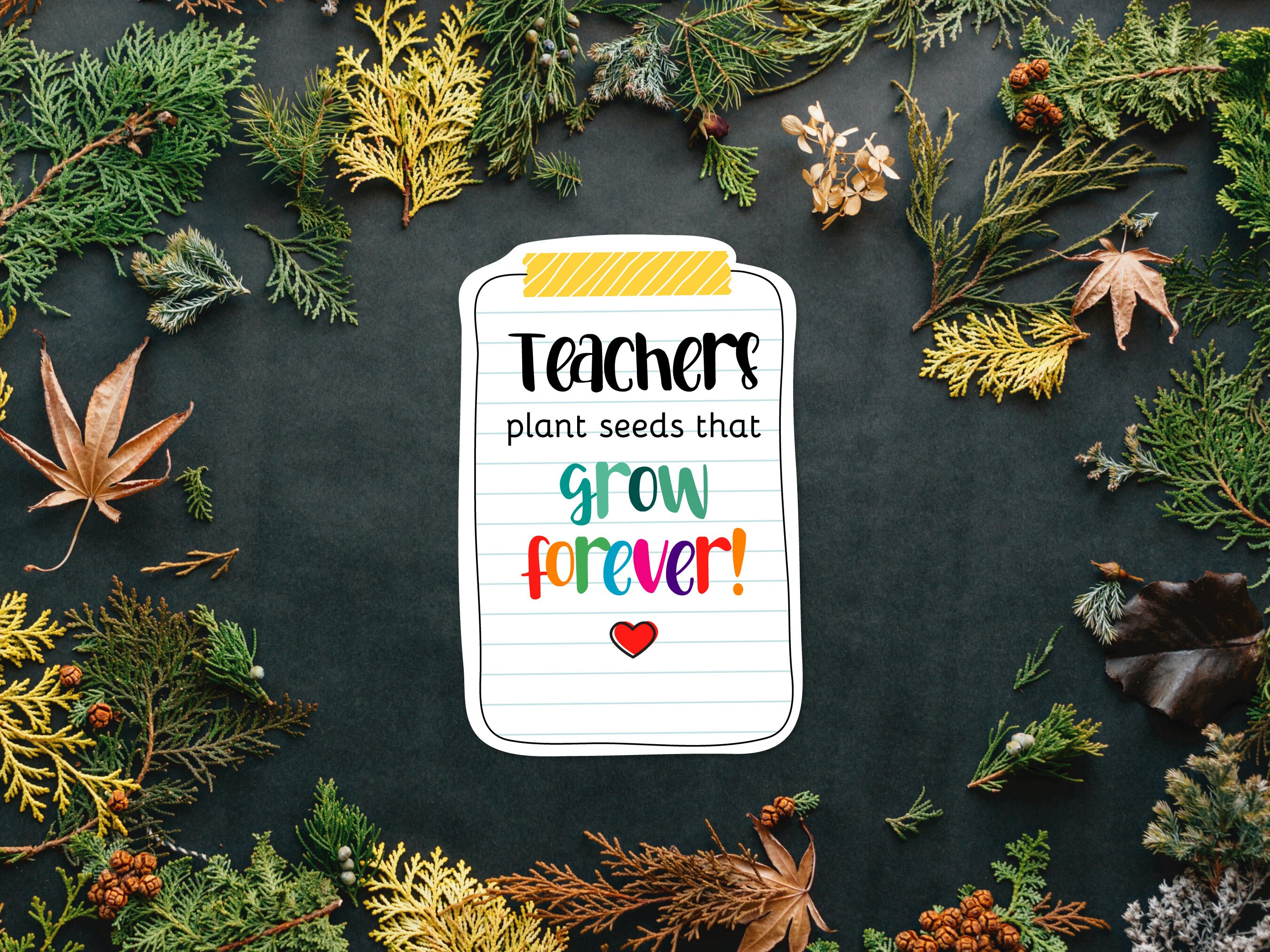 24 Sets Blumentopf-Geschenke Für Schüler – Mit Etiketten, Bunt, Für Schulabschluss & Motivation