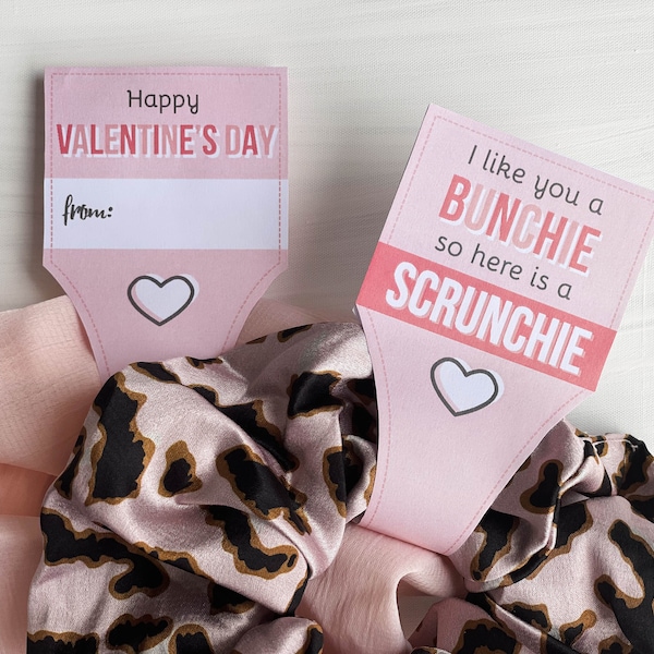 I Like You A Bunchie So Here Is A Scrunchie Teen Valentine's Day, Tween Valentines, Valentine's DIY, Student Valentines,Classroom Valentines