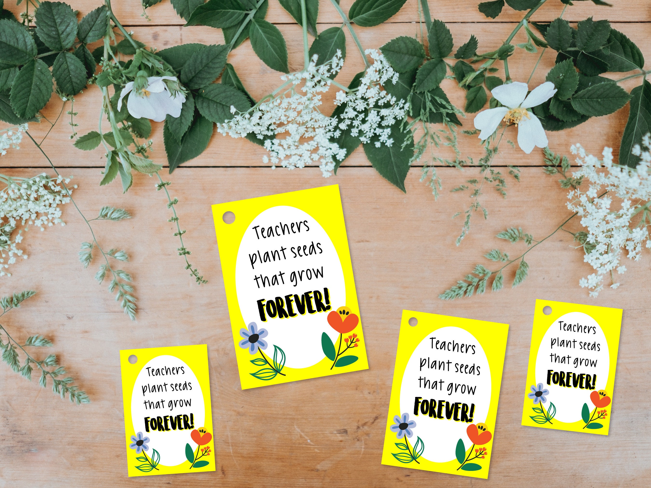 24 Sets Blumentopf-Geschenke Für Schüler – Mit Etiketten, Bunt, Für Schulabschluss & Motivation