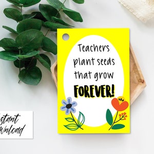 Teachers Plant Seeds That Grow Forever Printable Tag, Graduation Gift, Pot Plant Teacher Thank You, Seeds Teacher Gift, DIY, Teacher Gift
