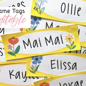 Editable Bright Fun Student Desk Plates, Classroom Labels Student Name Tags Printable, Bright Classroom Decor, DIY, Classroom Management