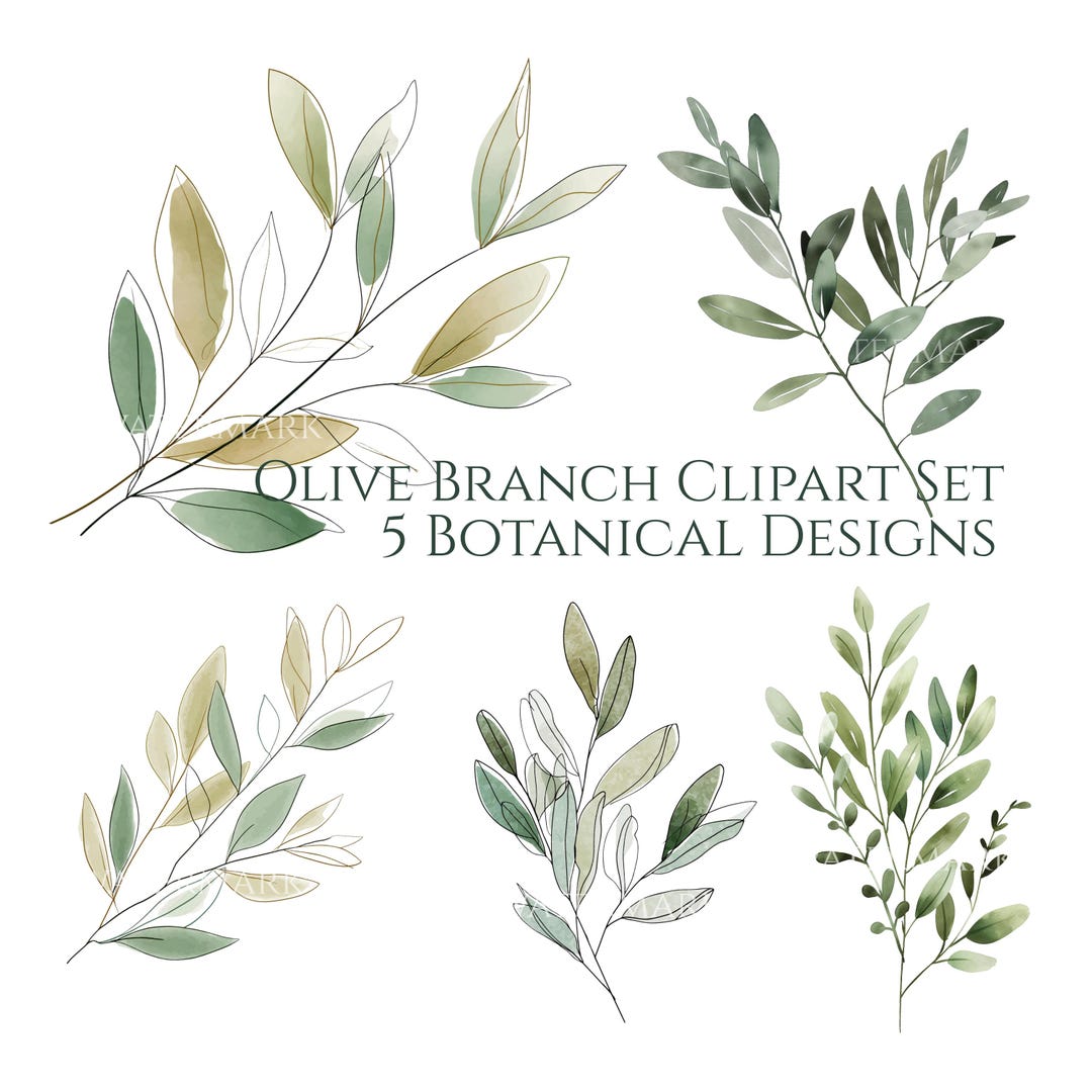 Minimalist Olive Branch Clipart Set | 5 Botanical Greenery ...