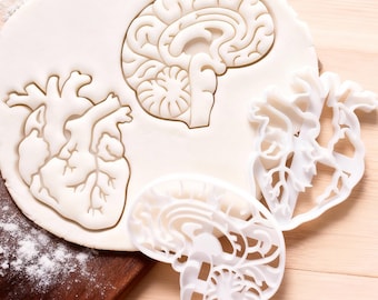 Brain and Heart Fondant Molds: Cookie Embosser Press, Cookie Cutter