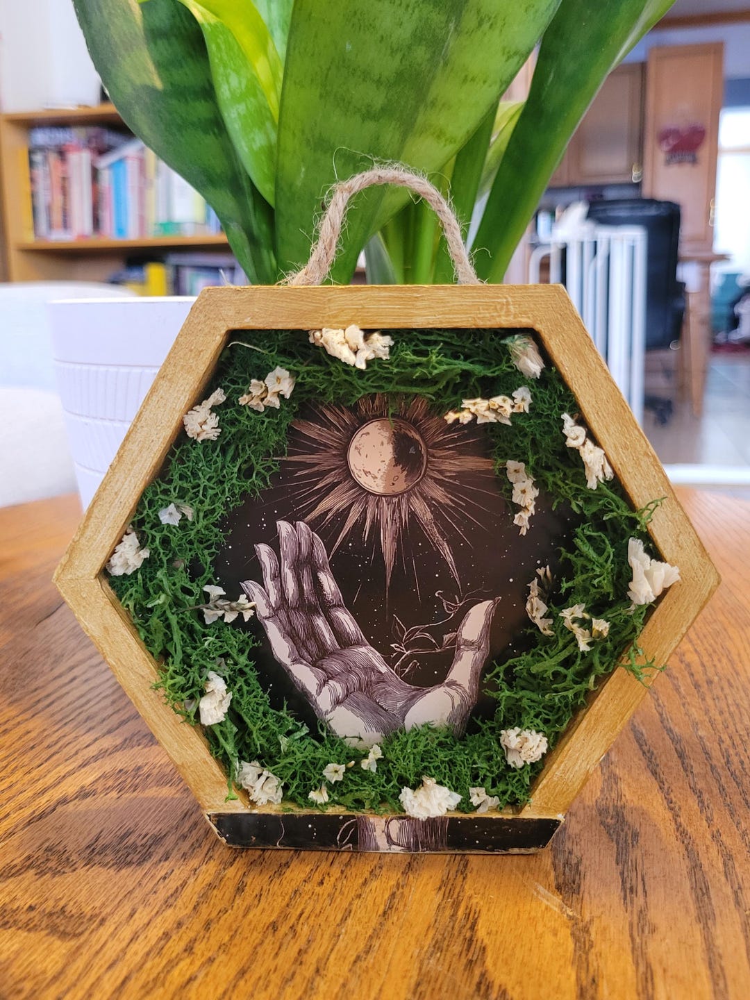 Mystic Moon & Hand Shadow Box With Moss – Hexagon Celestial Wall Art - Etsy