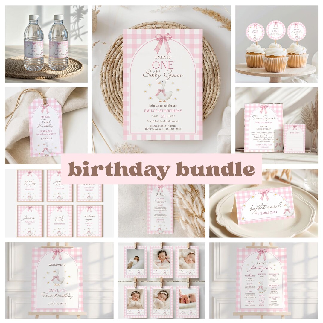 Silly Goose First Birthday Bundle Girl Pink Gingham Party Decorations ...