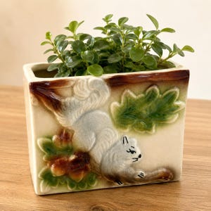 May include: A rectangular ceramic planter featuring a raised, three-dimensional relief of a gray squirrel perched among green oak leaves and brown acorns. The planter has a cream-colored base and contains a small, leafy green houseplant.