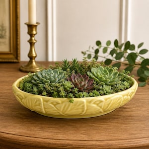 May include: A shallow, pale yellow ceramic bowl with a molded leaf-like texture on the exterior, filled with a variety of green and deep purple succulent plants. The bowl is oval-shaped and holds a dense arrangement of small, fleshy, rosette-shaped plants.