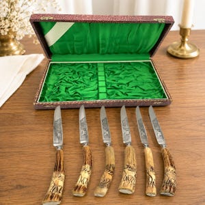 May include: A set of six silver-toned knives with textured, light brown antler-style handles featuring carved animal figures, arranged in front of an open, rectangular presentation box with a dark patterned exterior and bright green lining.