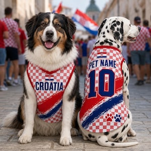 Personalized Croatia Dog Jersey, Custom Croatia Pet Soccer Shirt, Custom Pet Jersey, Pet Gameday Outfit, Croatia Football Dog Clothes