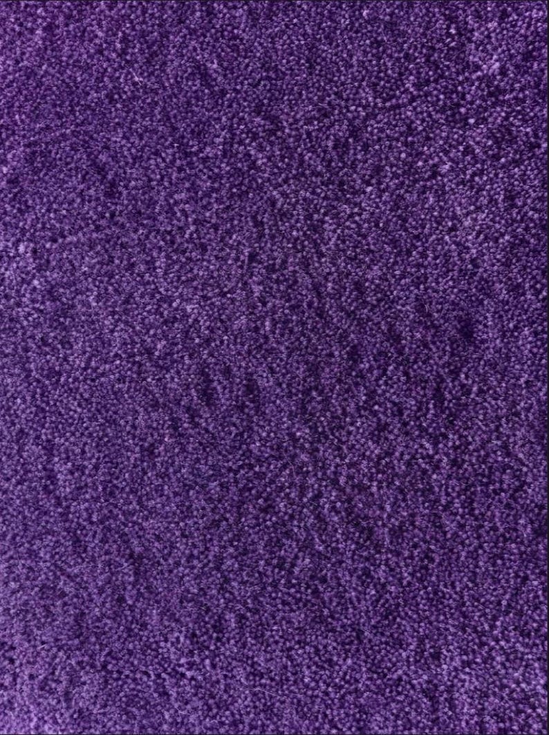 May include: A close-up of a deep purple carpet. The carpet has a dense, textured surface, with many small, tightly packed fibres. The colour is a rich, saturated shade of purple, creating a soft, inviting appearance.