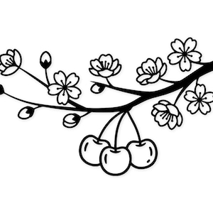Puede incluir: Ilustración en blanco y negro de una rama de cerezo en flor con flores, capullos y cerezas. El diseño destaca los detalles de las flores y los frutos, con un estilo limpio y elegante.