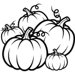 May include: Black and white illustration of five pumpkins of varying sizes. The pumpkins have thick black outlines and are arranged in a cluster, with some stems and curly vines. The image is a simple, graphic design.