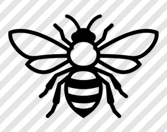 SVG de abelha: Design divertido para camisetas