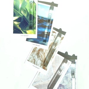 Crystal Ritual Oil Discovery Samples Set | Tiny Bandit Natural Coconut + Perfume Oil