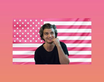 Joe Keery Pink USA Flag — Cute Actor Wall Flag, Trending Aesthetic Room Decor