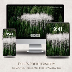 May include: A desktop computer, tablet, and smartphone display a nature-themed wallpaper featuring a forest of green trees and white-trunked trees. The time 9:41 is displayed on each device. The text "DITO'S PHOTOGRAPHY" and "COMPUTER, TABLET AND PHONE WALLPAPERS" are also visible.