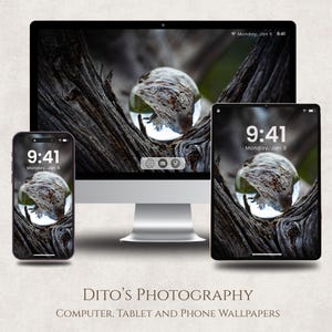 May include: A computer, tablet, and smartphone show a nature-themed wallpaper. The wallpaper depicts a glass orb reflecting a tree branch. The time displayed is 9:41 AM, Monday, January 6. The text "DITO'S PHOTOGRAPHY" is at the bottom.