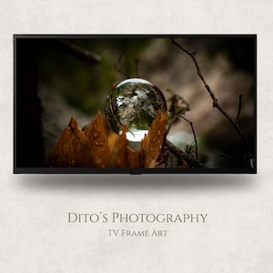 May include: A photograph of a glass sphere reflecting a forest scene, resting on a piece of wood. The image is framed by a black TV screen. The text "Dito's Photography TV Frame Art" is displayed at the bottom.