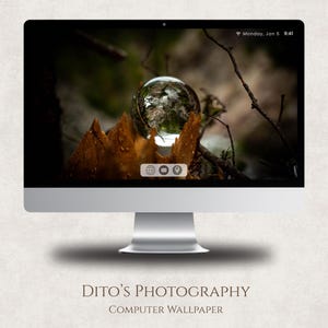 May include: A desktop computer displays a nature scene with a glass sphere reflecting the forest. The screen shows a close-up of a tree stump and branches. The text "Dito's Photography" and "Computer Wallpaper" are at the bottom.