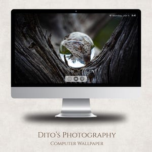 May include: A silver iMac computer shows a nature-themed wallpaper. The wallpaper depicts a clear glass orb nestled within the textured, dark brown branches of a tree. The screen displays the text "Monday, Jan 6 9:41" at the top. Three icons are at the bottom of the screen.