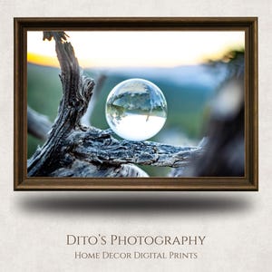 May include: A framed photograph showing a clear glass sphere on a weathered tree branch. The sphere reflects a landscape with trees and a blurred background. The frame is dark brown. The text "Dito's Photography" and "Home Decor Digital Prints" is at the bottom of the image.