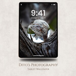 May include: Tablet screen showing a nature-themed wallpaper. A clear glass sphere reflects a tree branch, with the time 9:41 and the date Monday, Jan 6 displayed. The tablet has a gold frame and the text "Dito's Photography, Tablet Wallpaper".