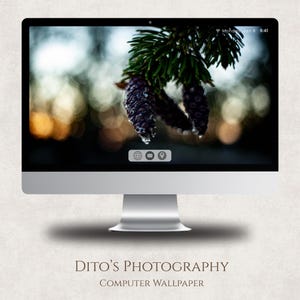 Pode incluir: Um monitor de computador prateado exibindo uma fotografia da natureza. A imagem apresenta pinhas com gotas de água, em um fundo desfocado. O texto "Dito's Photography" e "Computer Wallpaper" estão na parte inferior.