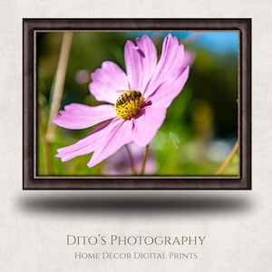 Bee on Pink Flower Macro Photography Print (Digital Download)