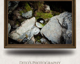 May include: A framed digital print showing a glass sphere on gray rocks and green moss. The artwork is in a dark brown frame, with the text "Dito's Photography Home Decor Digital Prints" at the bottom. A nature-themed print.