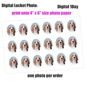 Custom Oval Locket Prints ,Locket Photo Prints,Oval Locket Photo,Locket Photo Printing,Locket Print,Photo for Locket,Digital Locket Photo