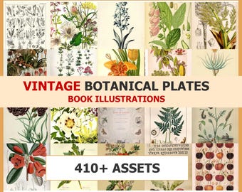 May include: A collection of vintage botanical plates and book illustrations. The image features a collage of colorful, detailed drawings of various plants and flowers. Text includes "VINTAGE BOTANICAL PLATES" and "BOOK ILLUSTRATIONS" with "410+ ASSETS" below.