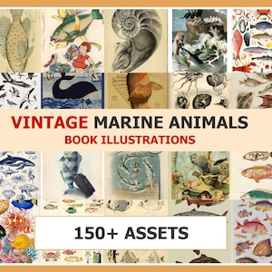 以下が含まれることがあります： ヴィンテージの海洋動物イラストのコレクション。画像には、魚、クジラ、その他の海の生き物のさまざまなカラフルな絵が描かれています。画像には「VINTAGE MARINE ANIMALS BOOK ILLUSTRATIONS」と「150+ ASSETS」と書かれています。