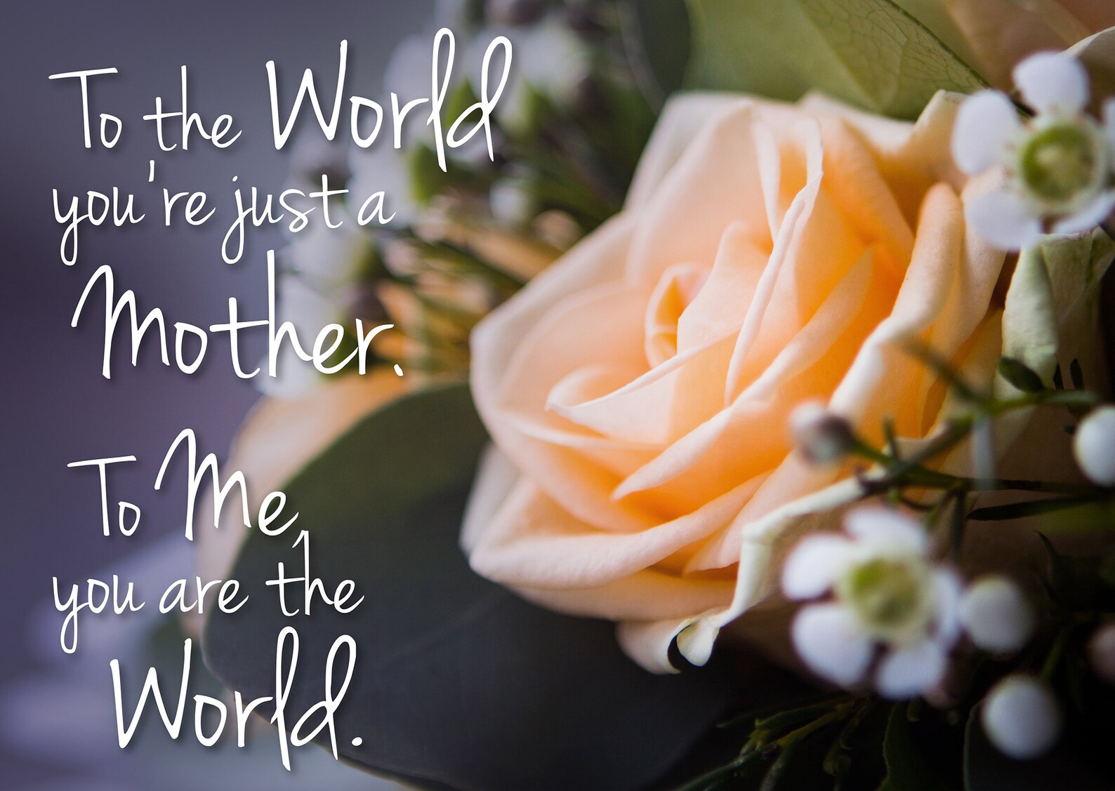 Mother's day A4 Print photo mum quote flowers Roses Etsy